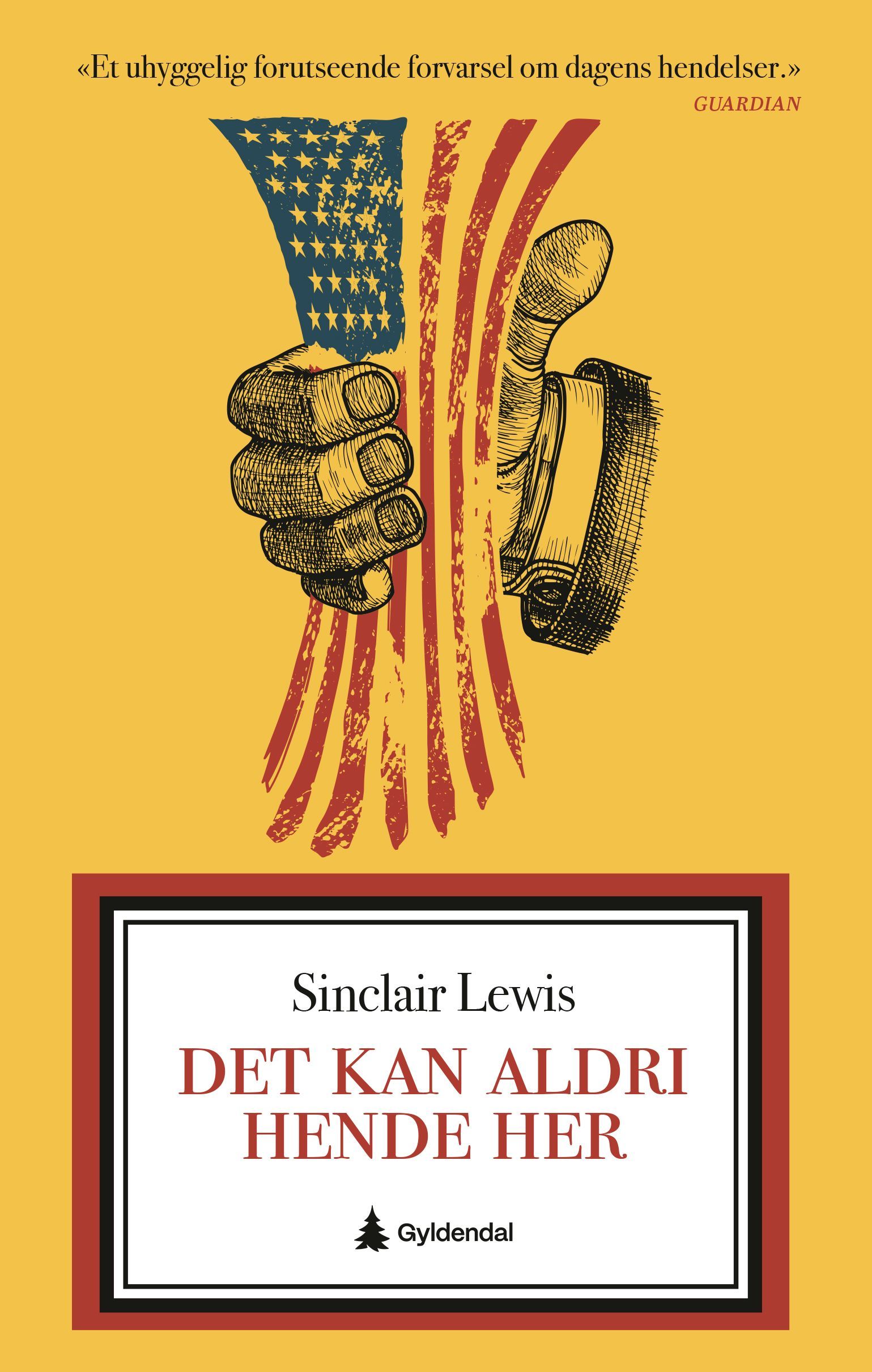 Forsidebilde av Det kan aldri hende her : roman