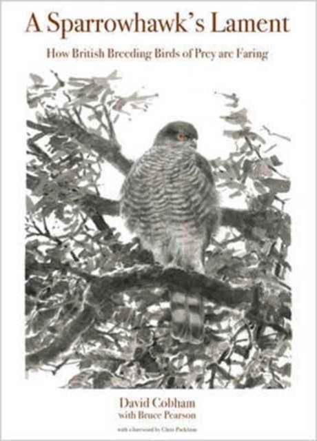 A Sparrowhawk's Lament : How British Breeding Birds of Prey Are Faring