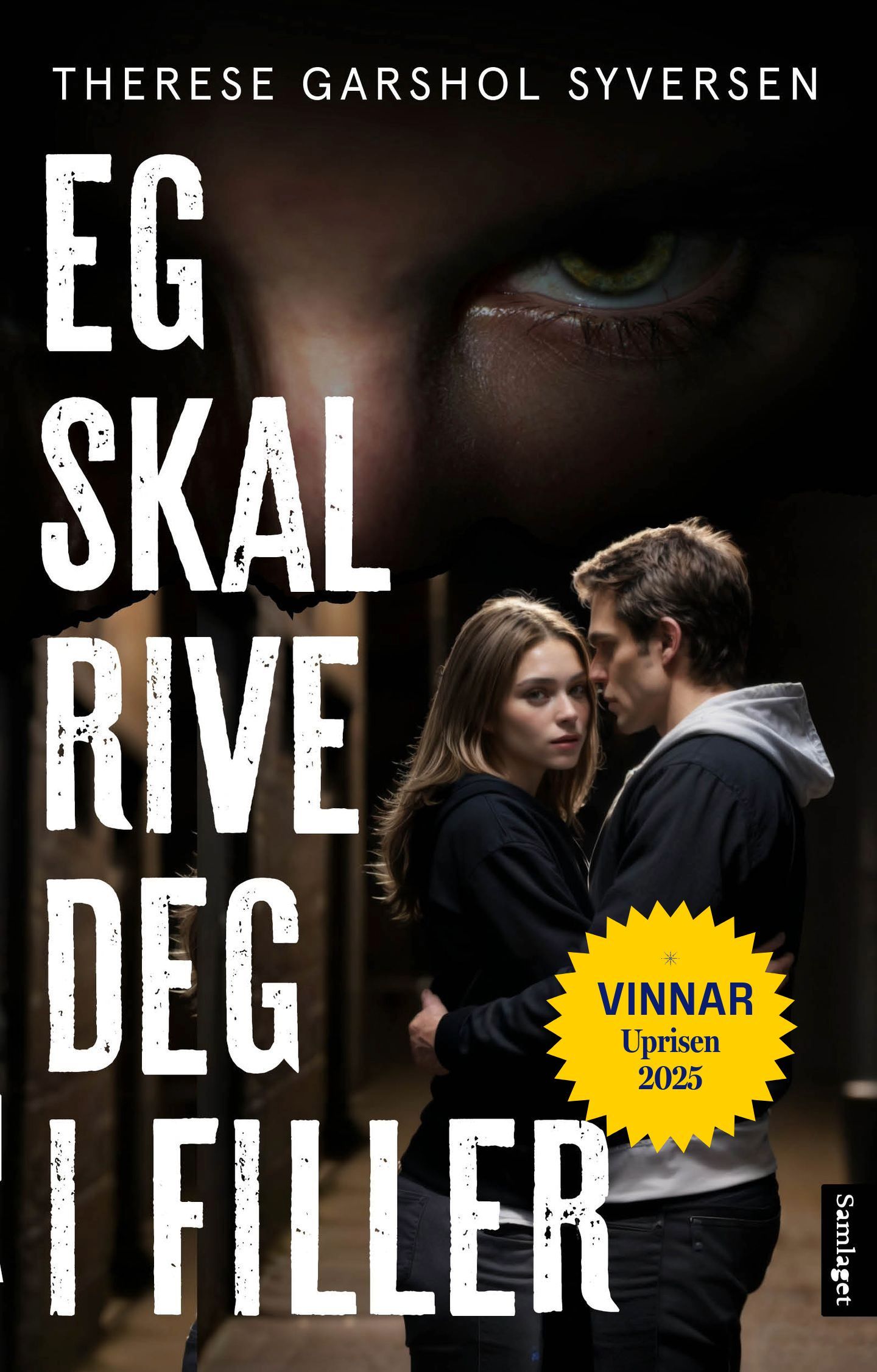 Eg skal rive deg i filler : roman