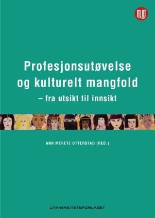 Profesjonsutøvelse og kulturelt mangfold : fra utsikt til innsikt
