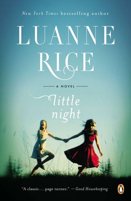 Forsidebilde av Little Night : A Novel