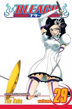 Bleach. vol. 29. The slashing opera