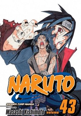Naruto. Vol. 43. The man with the truth