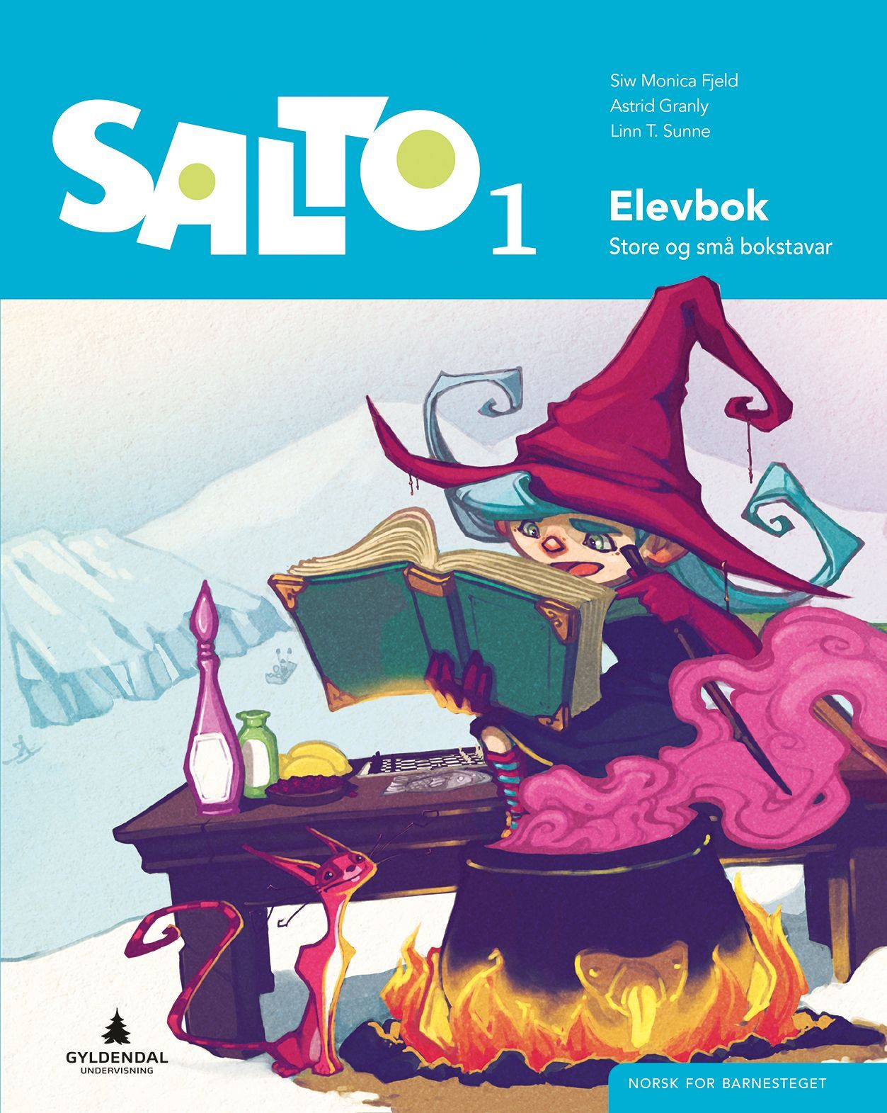 Salto 1 : norsk for barnesteget. Elevbok : store og små bokstavar