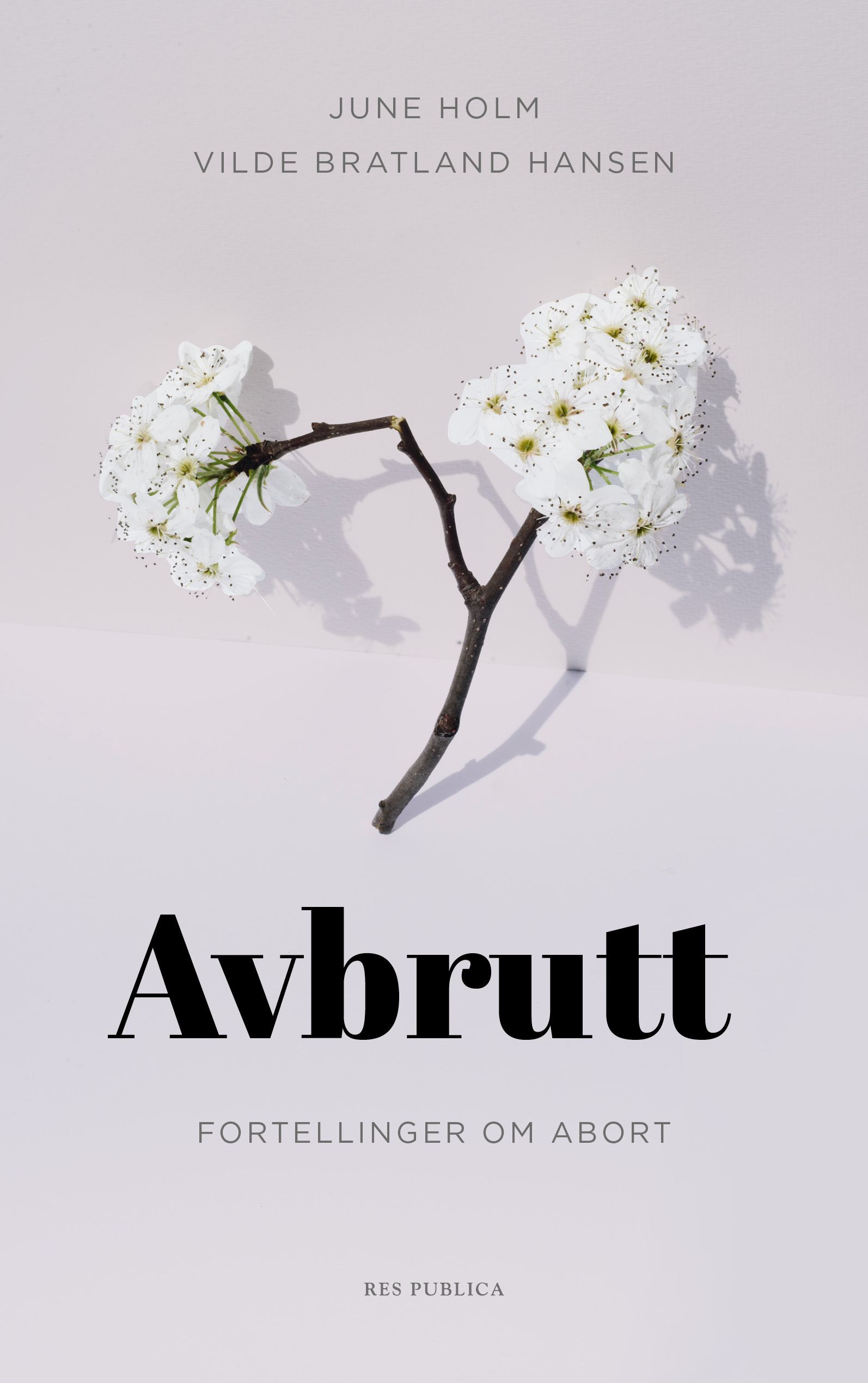 Avbrutt : fortellinger om abort