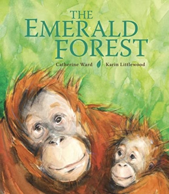 Forsidebilde av The Emerald Forest