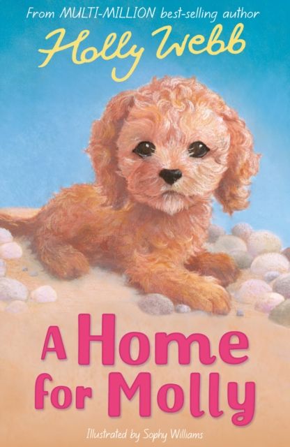 A home for Molly