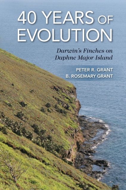 40 Years of Evolution : Darwin's Finches on Daphne Major Island