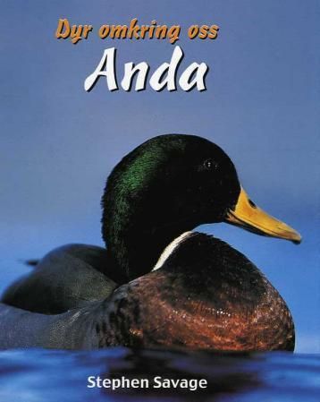 Anda