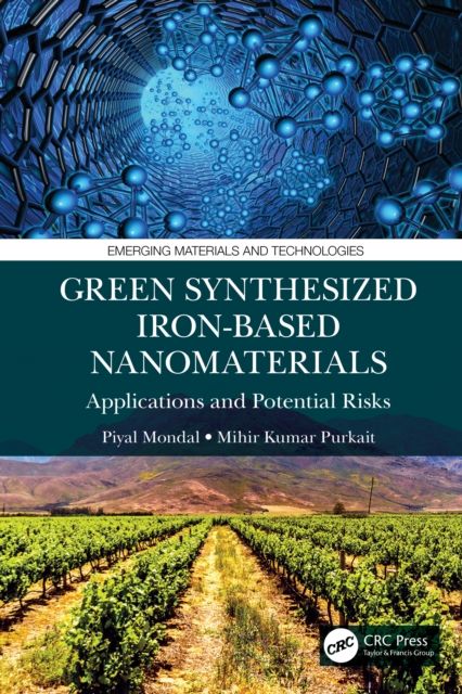 Green Synthesized Iron-based Nanomaterials : Applications and Potential Risks