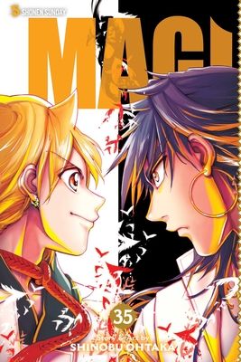 Magi : the labyrinth of magic. 35