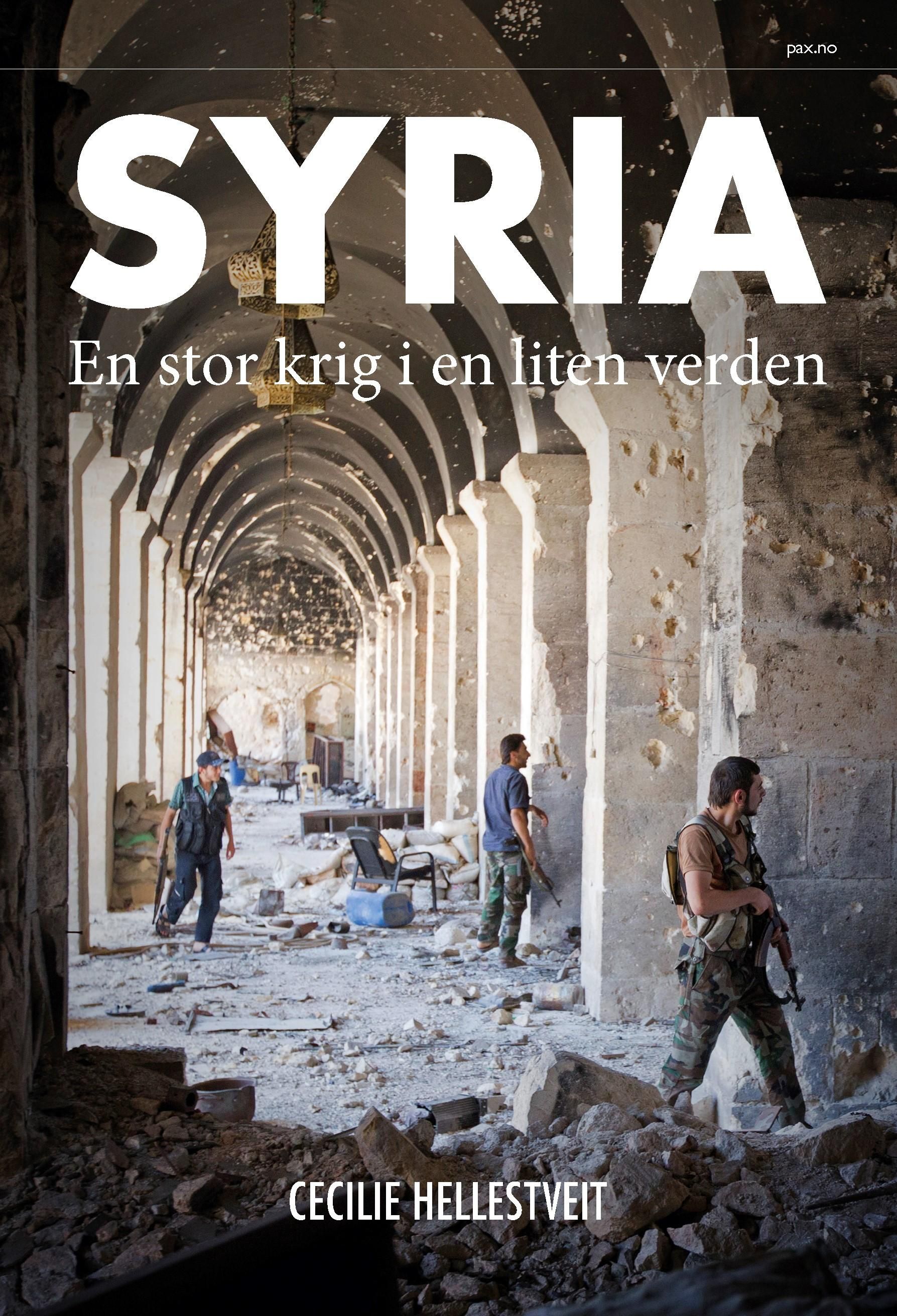 Syria : en stor krig i en liten verden