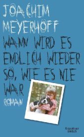 Wann wird es endlich wieder so, wie es nie war : Roman