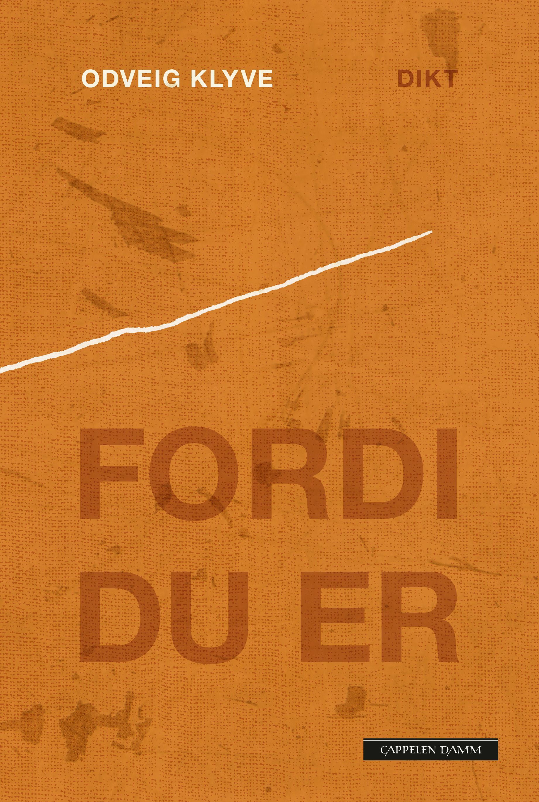 Fordi du er : dikt
