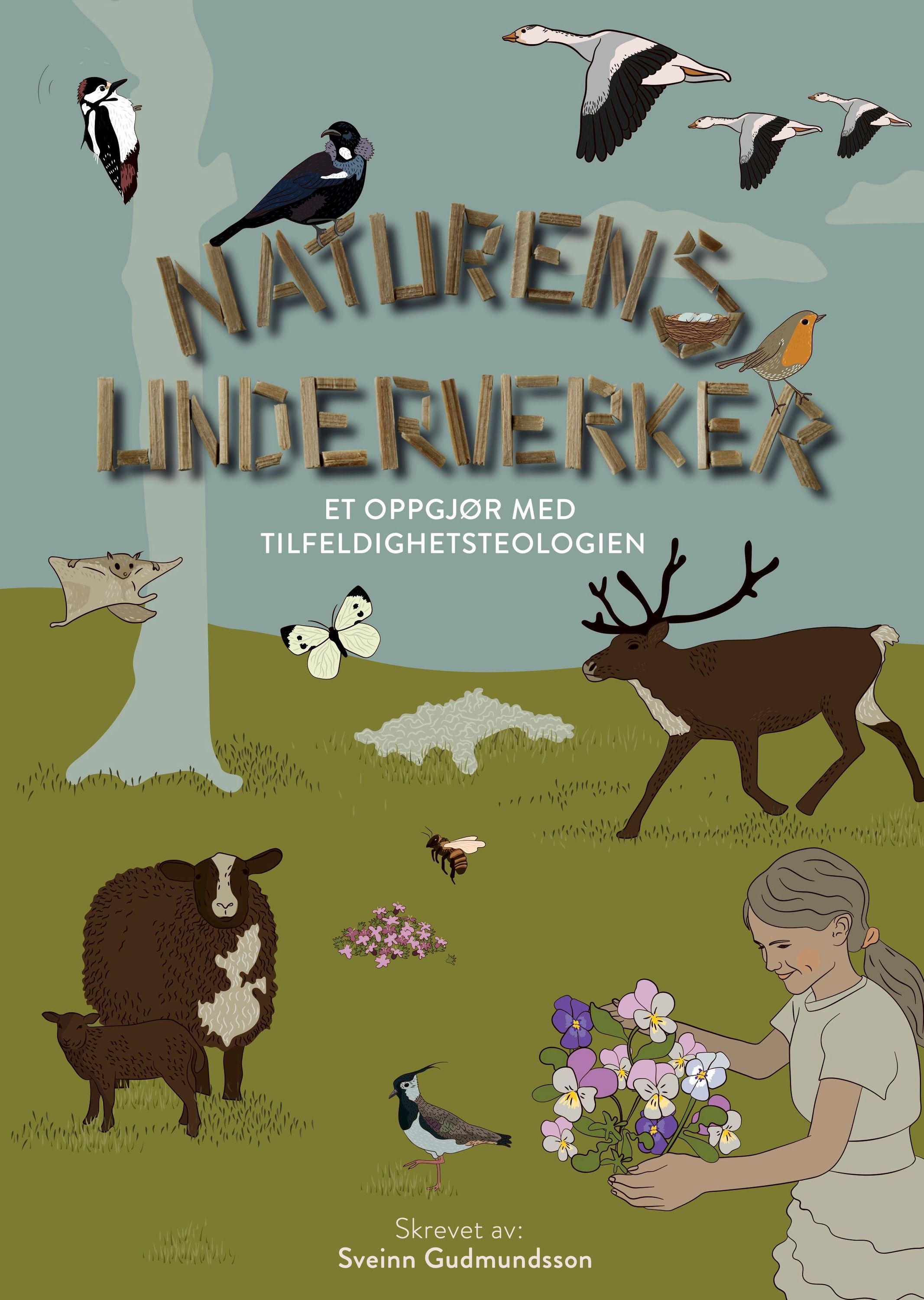 Naturens underverker : et oppgjør med tilfeldighetsteologien