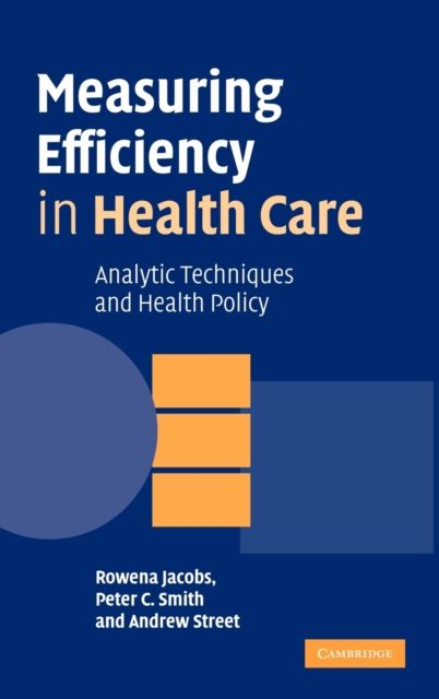 Measuring Efficiency in Health Care : Analytic Techniques and Health Policy