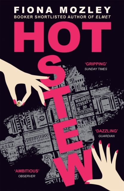 Hot Stew : a riotous novel about sex and money in Soho, from the Booker-shortlisted author of Elmet