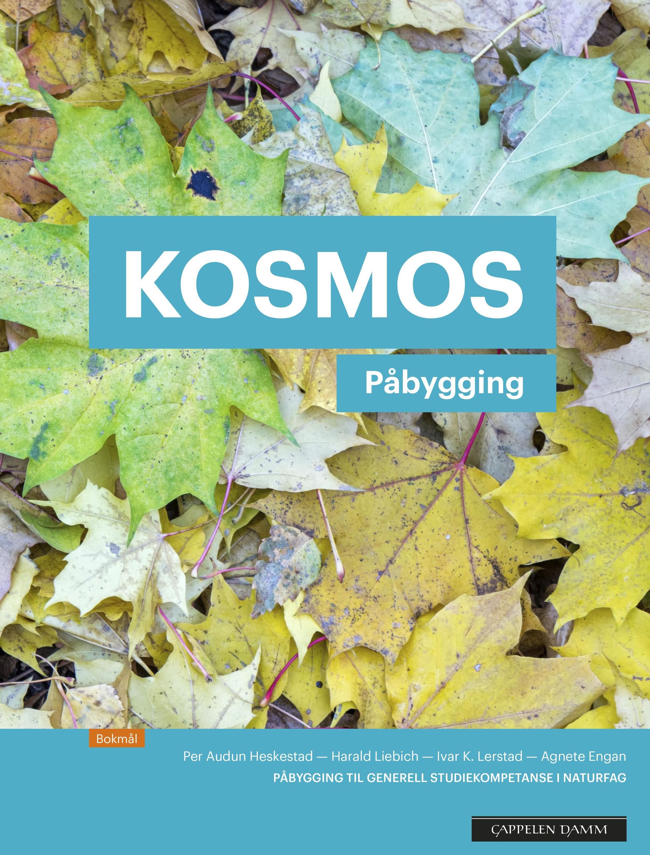 Kosmos påbygging : påbygging til generell studiekompetanse i naturfag : lærebok