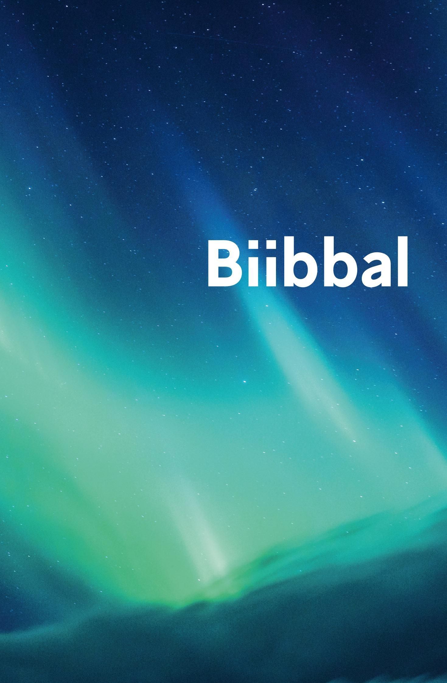 Biibbal : Bassi čala : Boares ja Ođđa testamenta