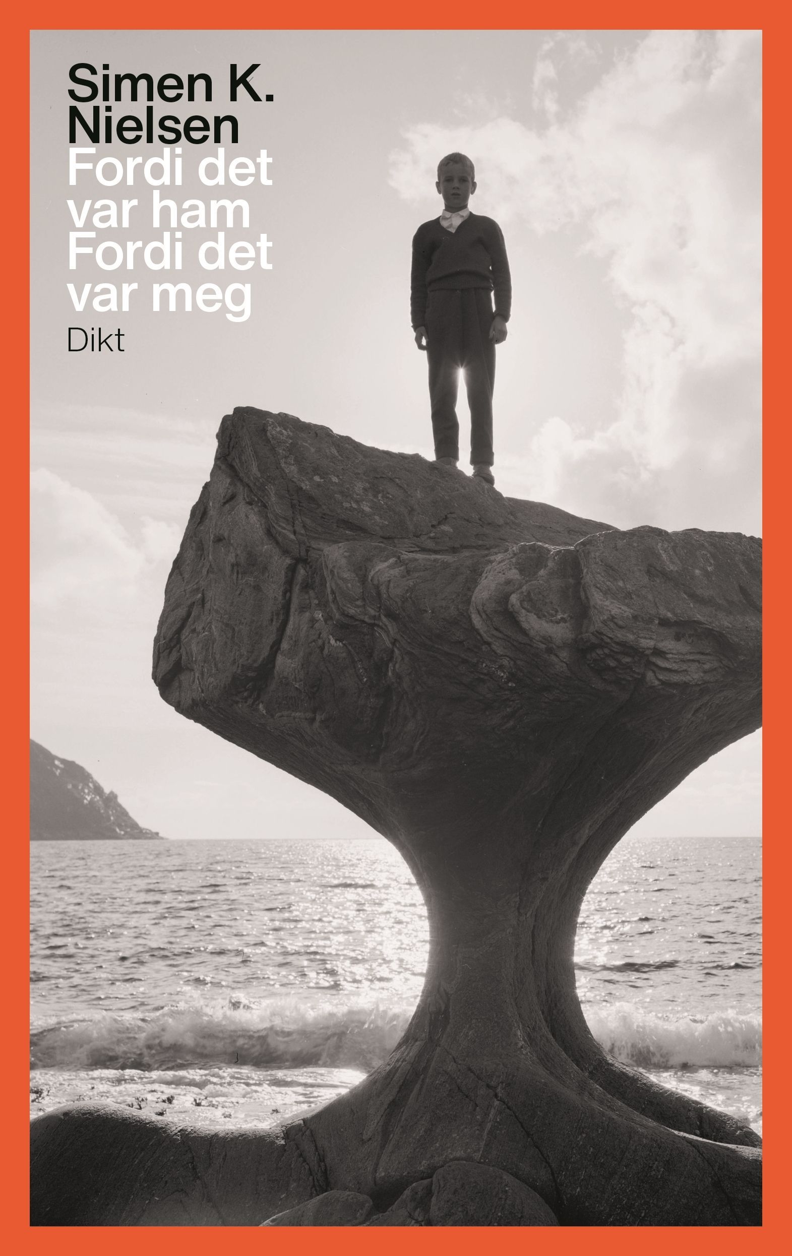 Forsidebilde av Fordi det var ham Fordi det var meg : dikt