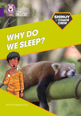 Shinoy and the Chaos Crew: Why do we sleep? : Band 08/Purple