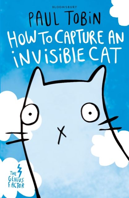How to capture an invisible cat