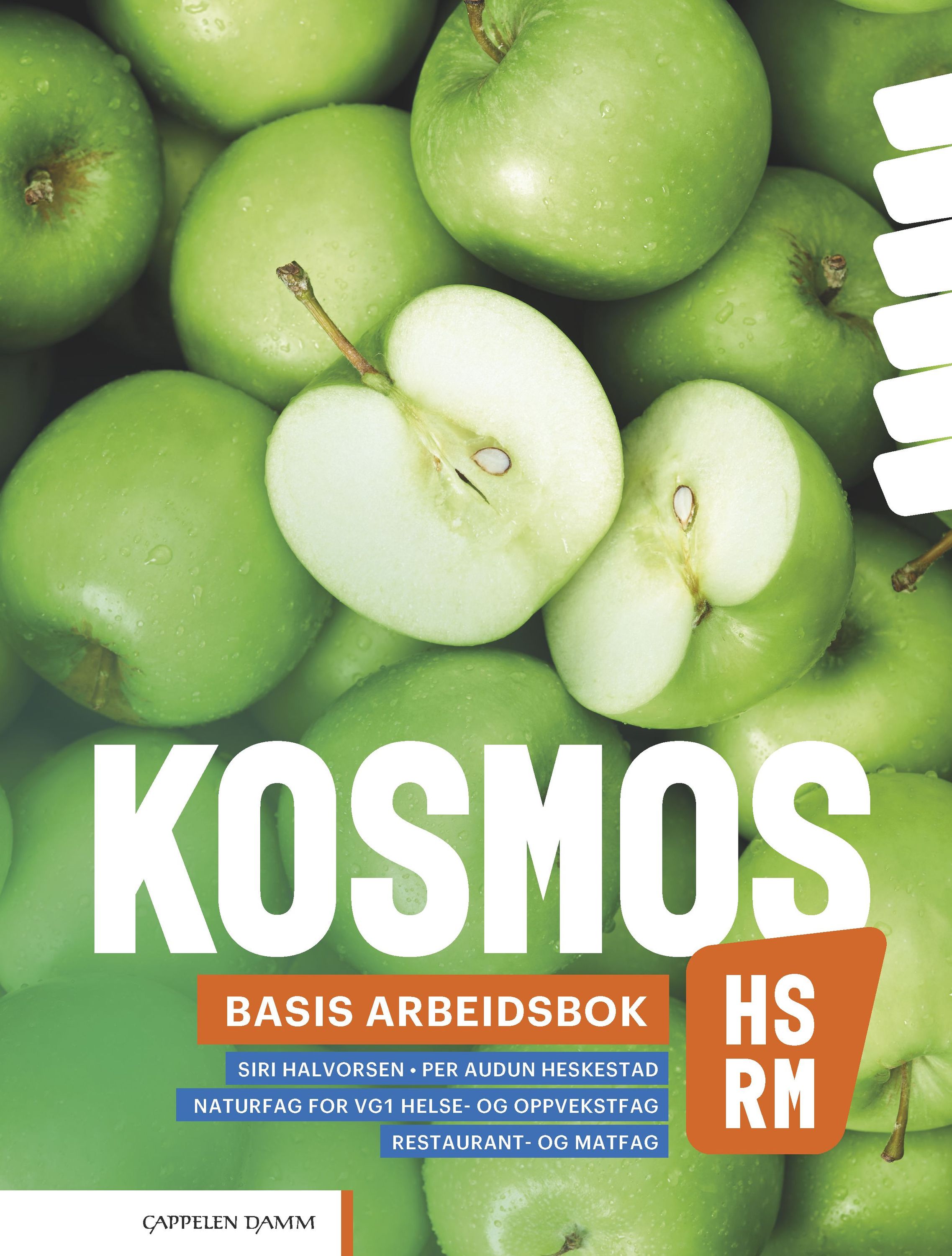 Kosmos HS, RM : naturfag for vg1 helse- og oppvekstfag, restaurant- og matfag. Basis arbeidsbok