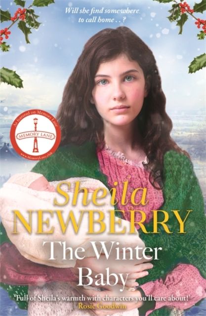 Forsidebilde av The Winter Baby : A perfect, heartwarming winter story from the Queen of Family Saga