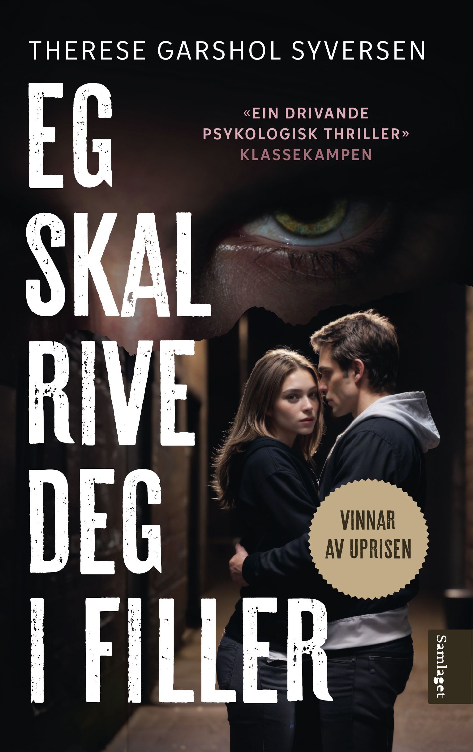 Forsidebilde av Eg skal rive deg i filler : roman