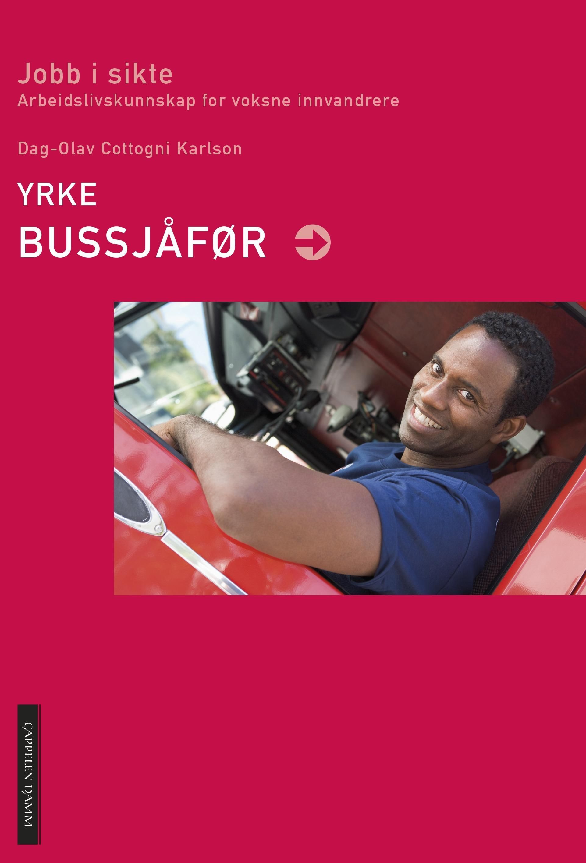 Yrke bussjåfør : arbeidslivskunnskap for voksne innvandrere