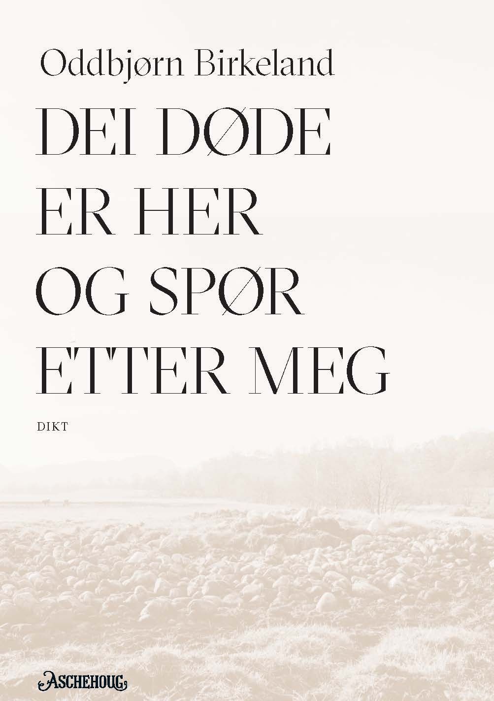 Dei døde er her og spør etter meg : dikt