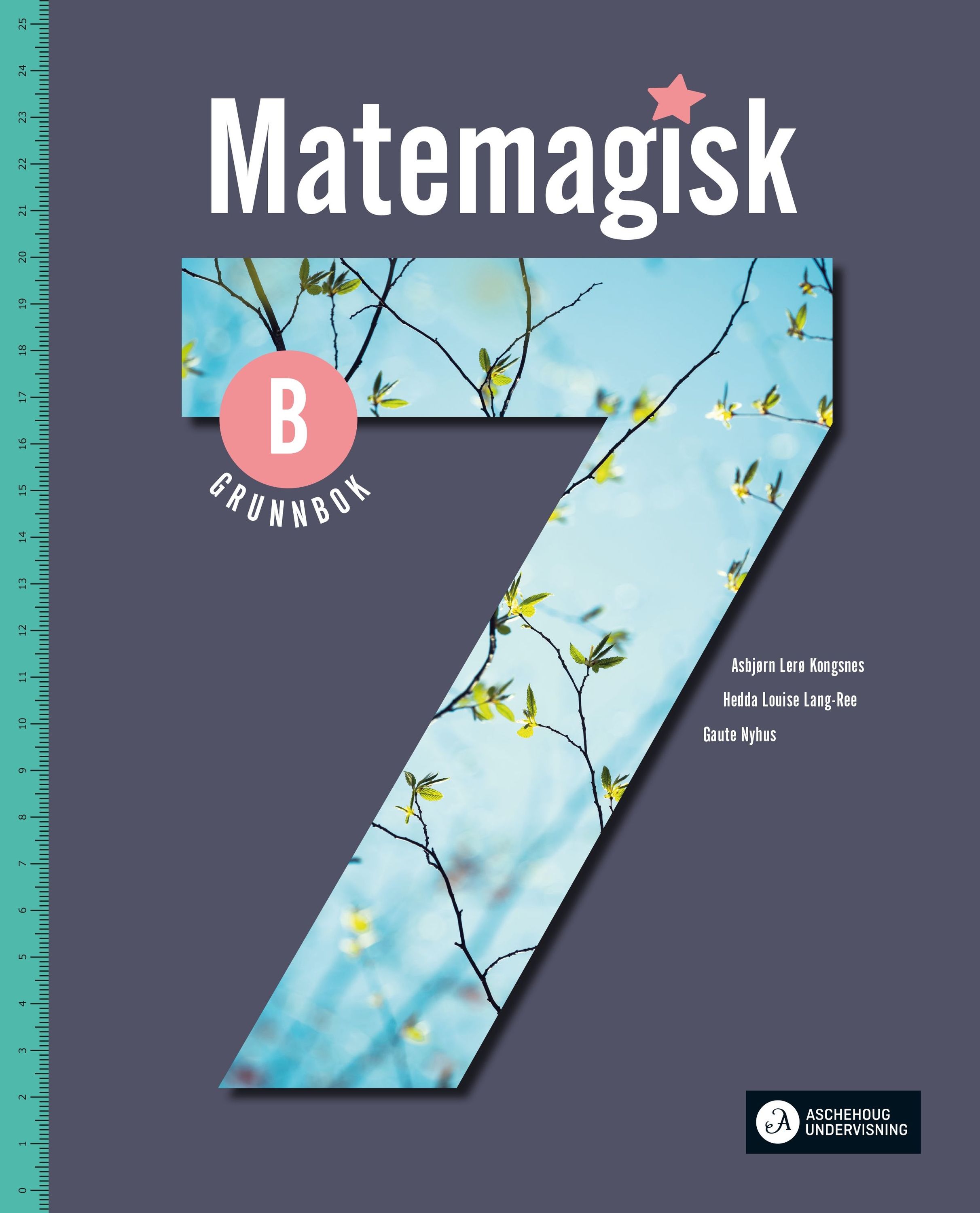 Matemagisk 7B : matematikk for barnetrinnet. Grunnbok