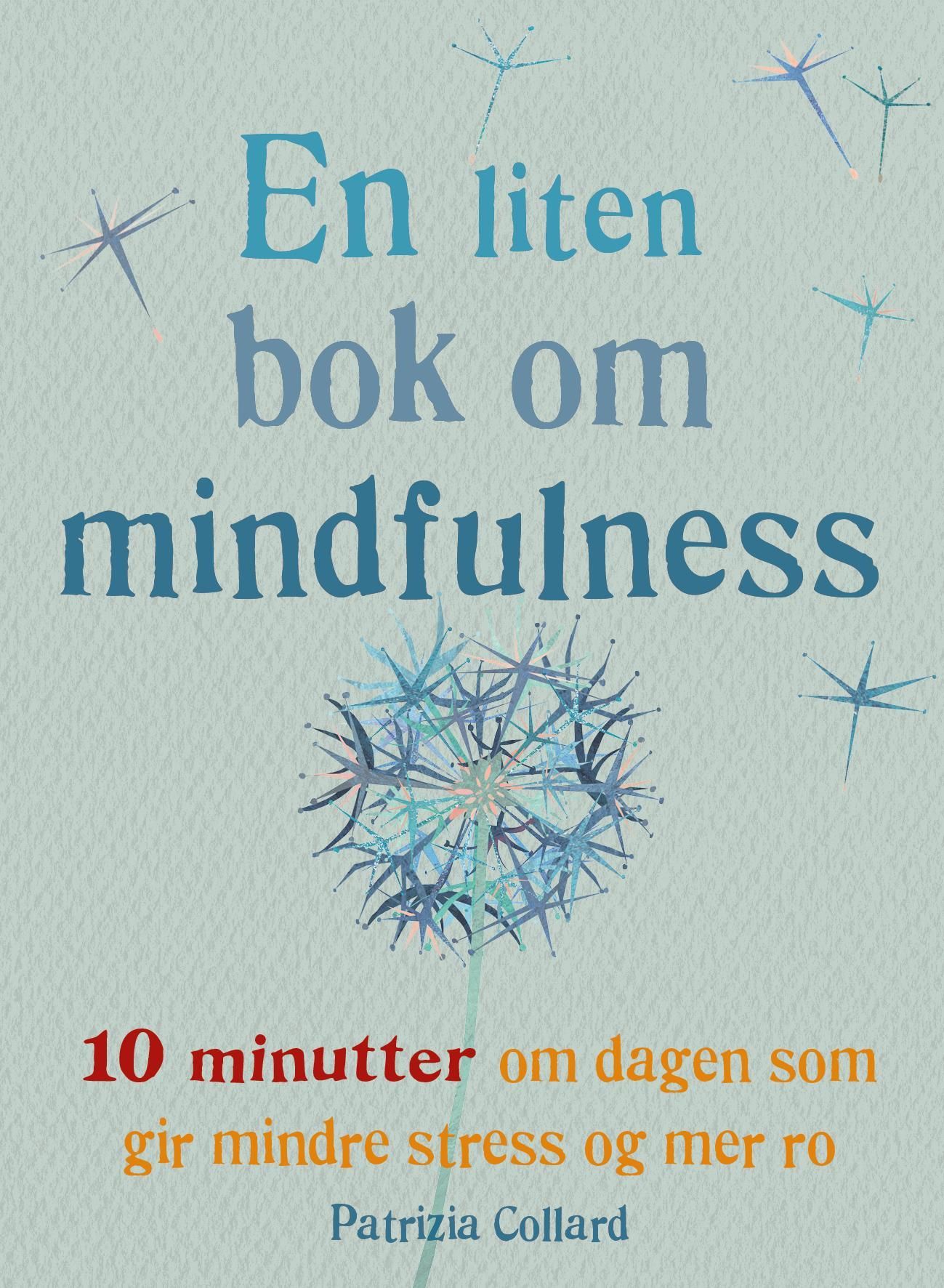 En liten bok om mindfulness : 10 minutter om dagen som gir mindre stress og mer ro