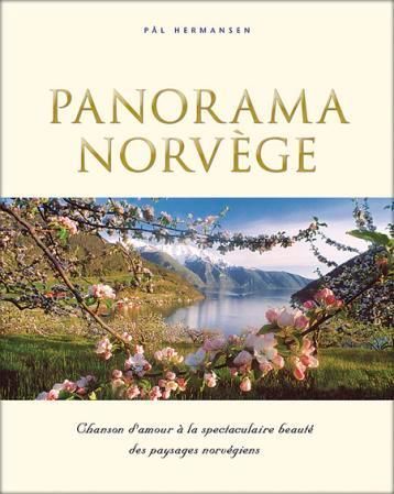 Panorama Norvège : chanson d'amour à la spectaculaire beauté des paysages norgégiens