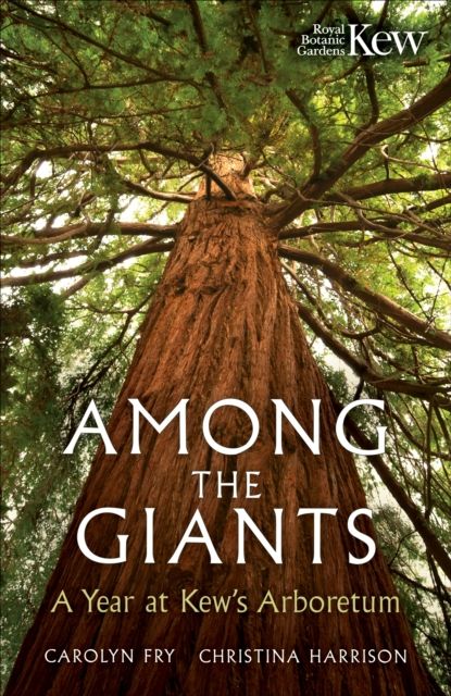 Among the Giants : A Year at the Kew Arboretum