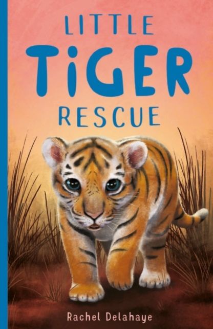 Little tiger rescue