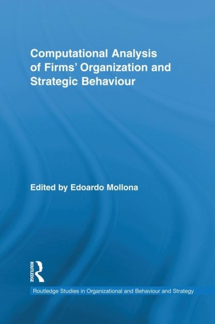 Computational Analysis of Firms' Organization and Strategic Behaviour