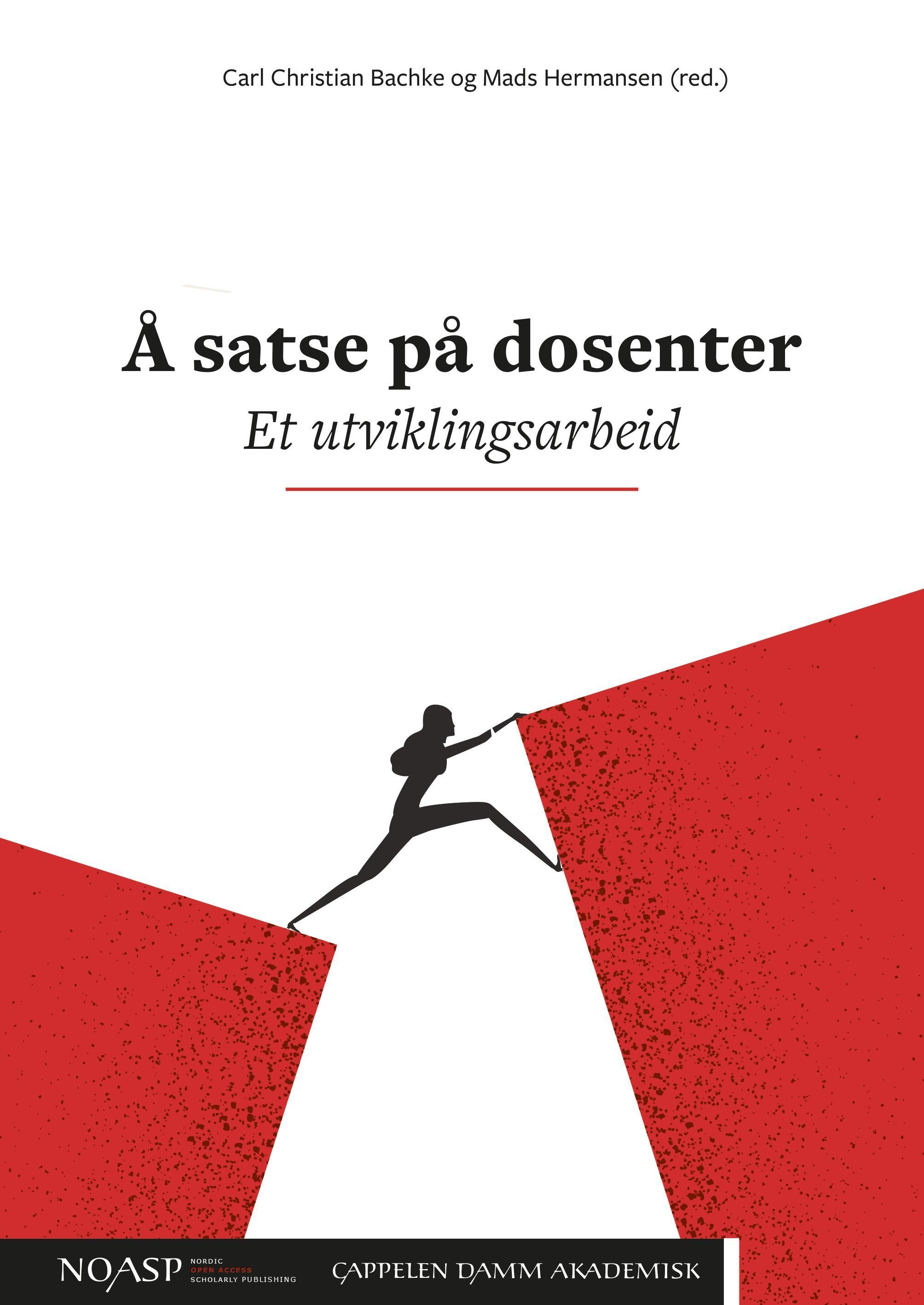 Å satse på dosenter : et utviklingsarbeid