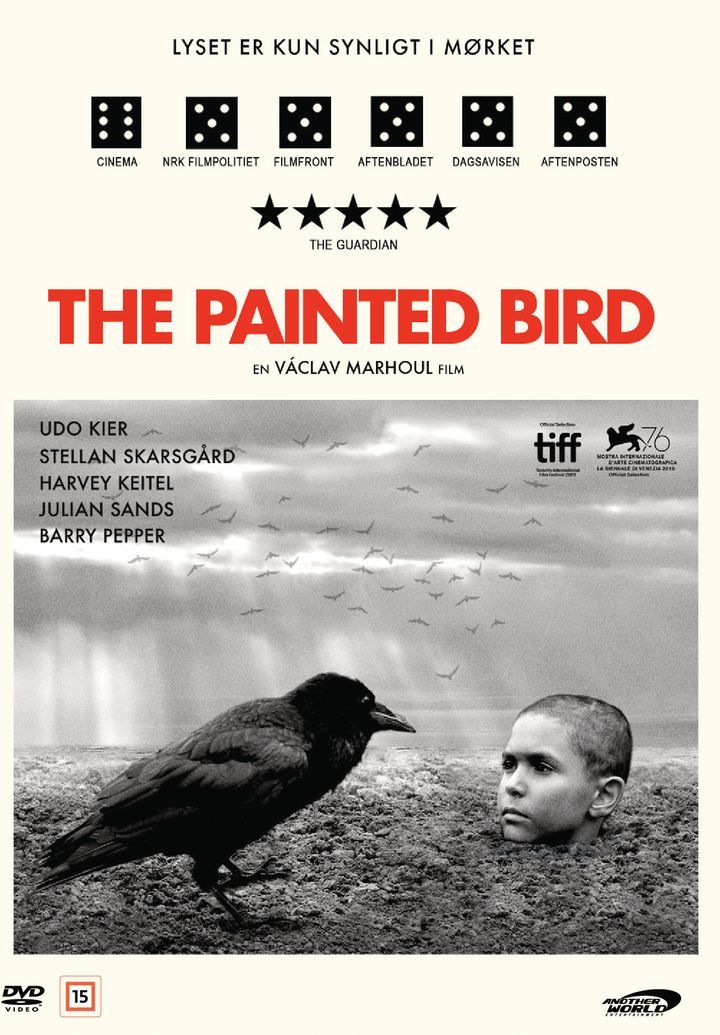 The painted bird