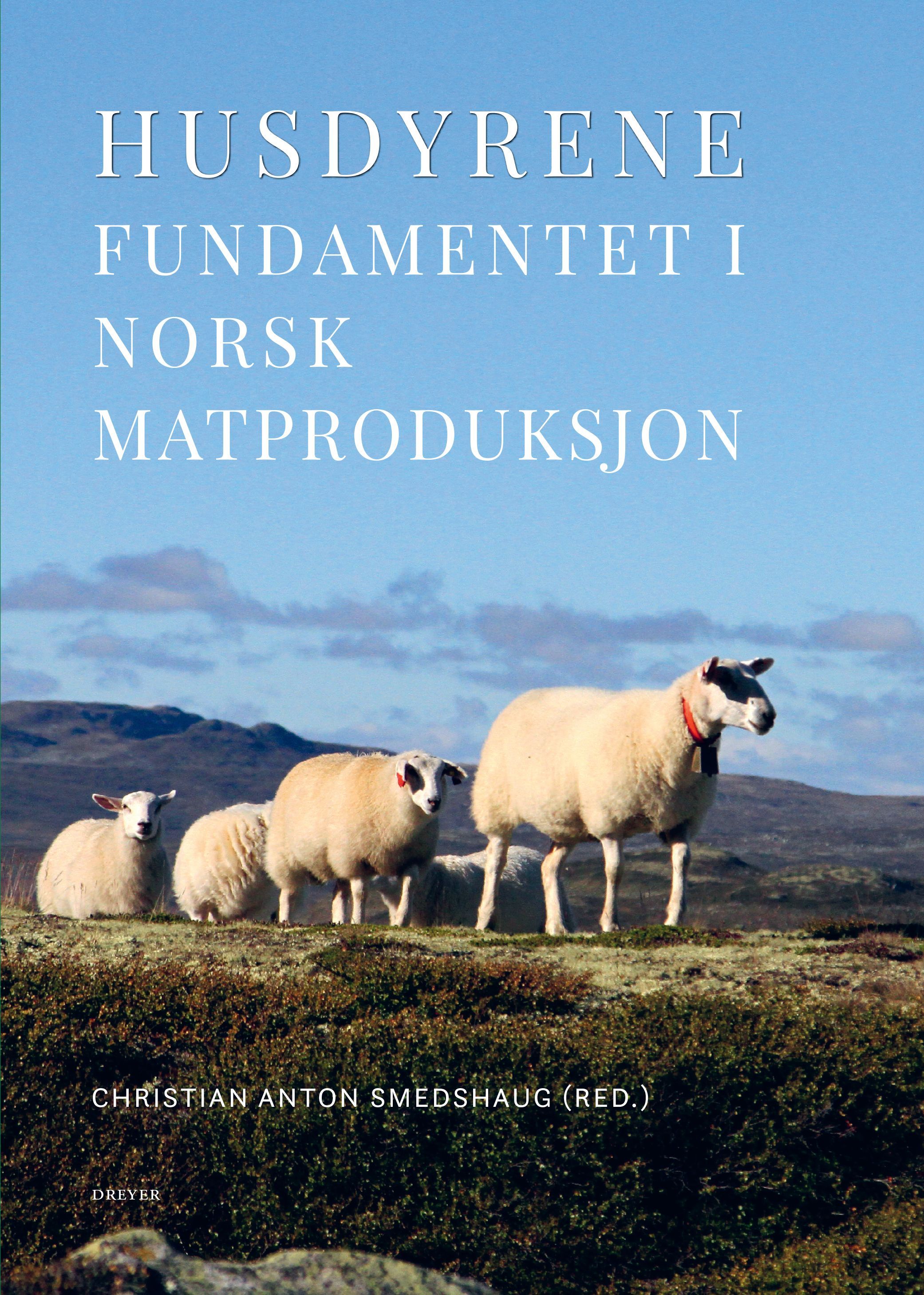 Husdyrene : fundamentet i norsk matproduksjon