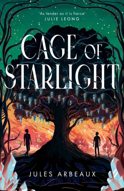 Cage of Starlight : the stunning, heart-wrenching enemies-to-lovers fantasy