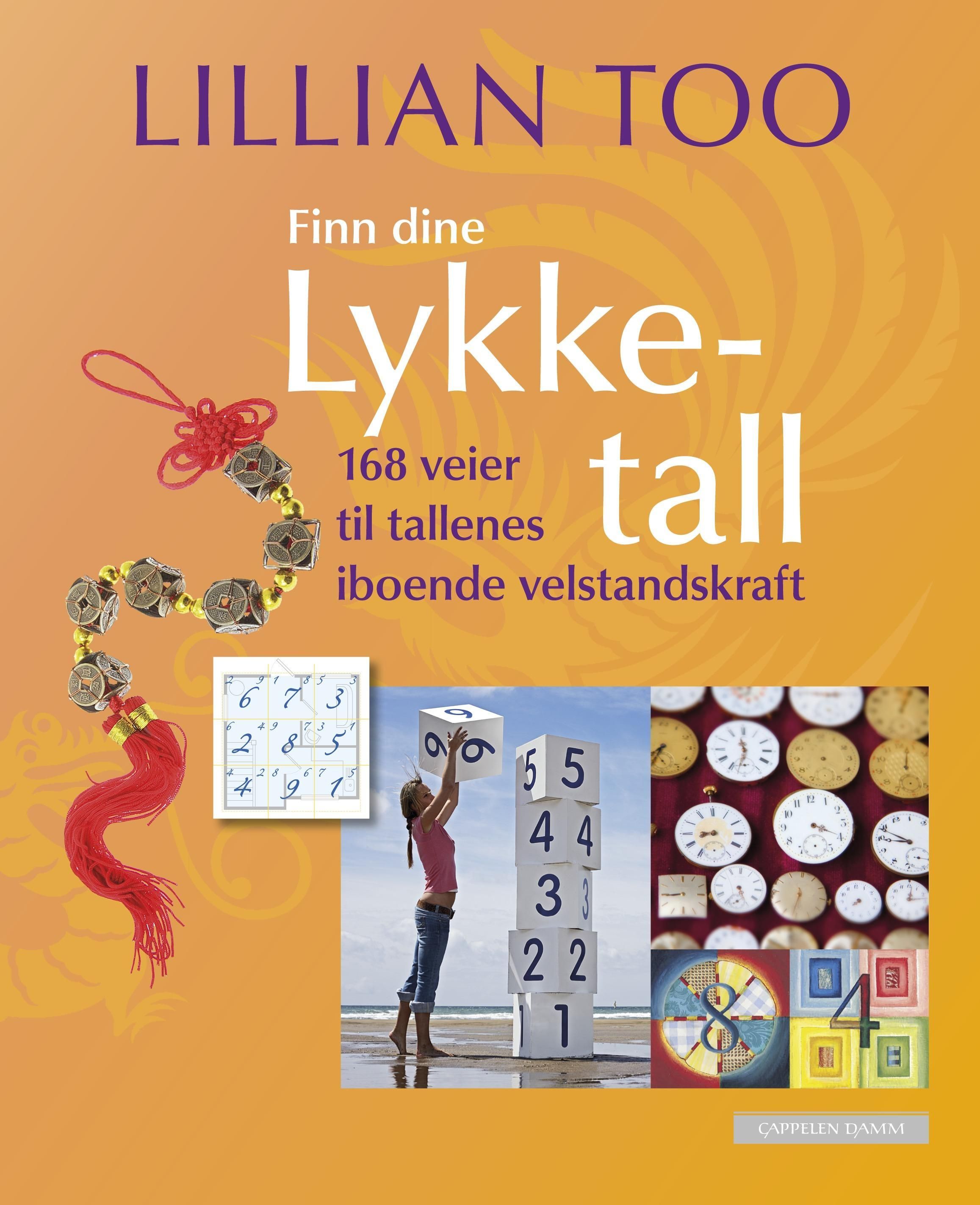 Finn dine lykketall : 168 veier til tallenes iboende velstandskraft