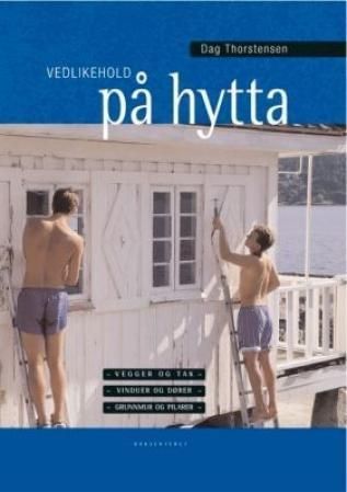 Forsidebilde av Vedlikehold på hytta : vegger og tak, vinduer og dører, grunnmur og pilarer