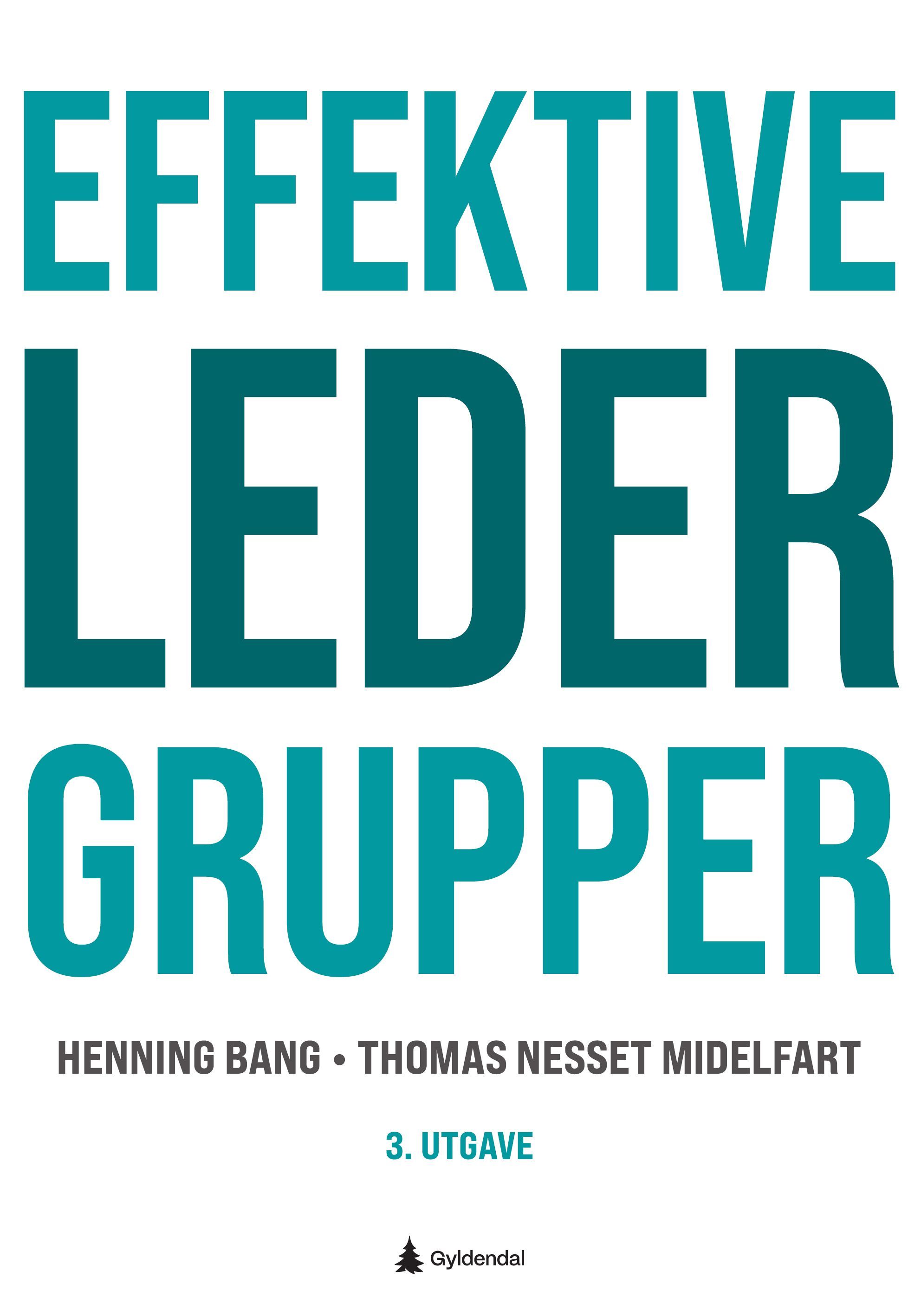 Forsidebilde av Effektive ledergrupper