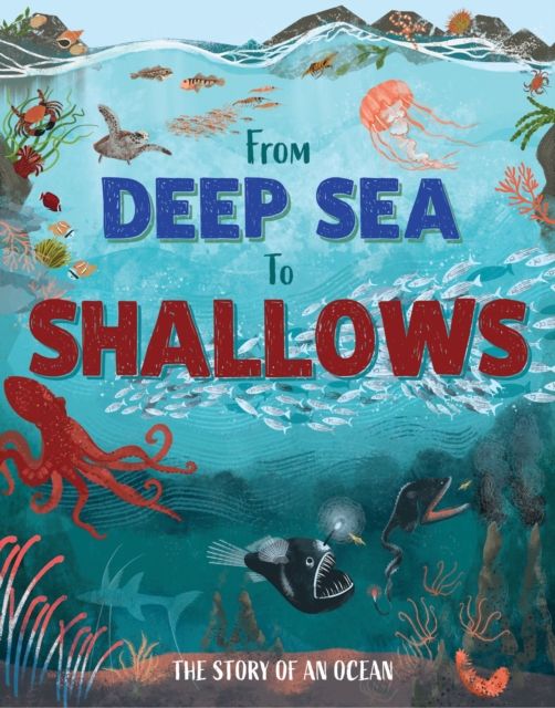 Forsidebilde av From Deep Sea to Shallows: The Story of Oceans