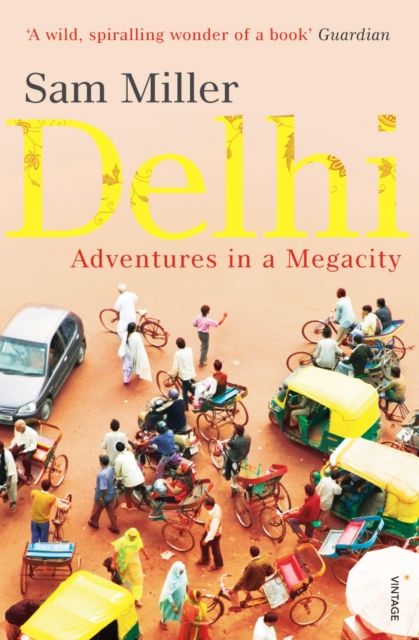 Delhi : adventures in a megacity