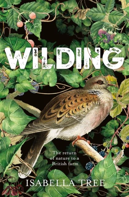 Wilding : the return of nature to a British farm