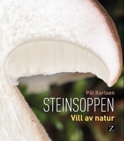 Steinsoppen : vill av natur