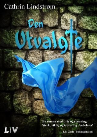 Den utvalgte : roman