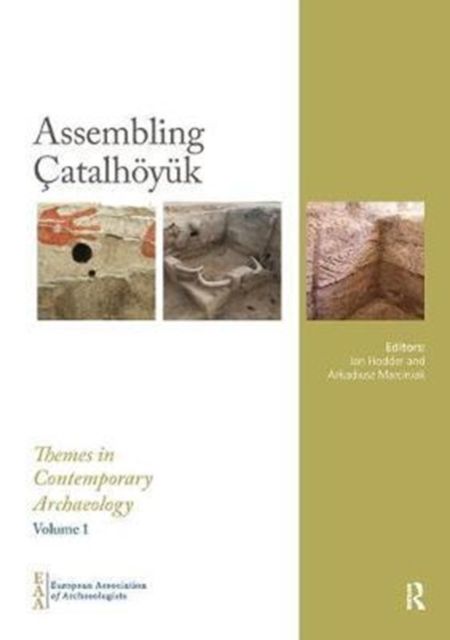 Assembling Catalhoyuk RPD